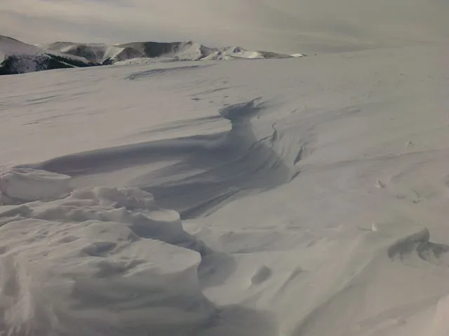 Organic Snow